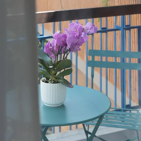 Guest house Zaccardi Roof Garden